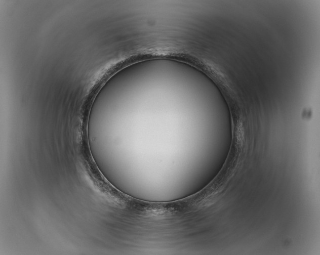 X0000111670540200908071500