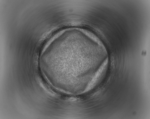 X0000111670542200908071500