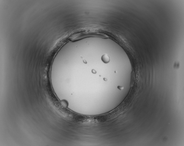 X0000111670543200908071500