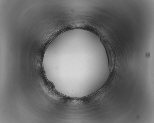 X0000111670546200908071500