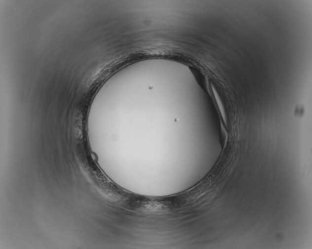 X0000111670547200908071500