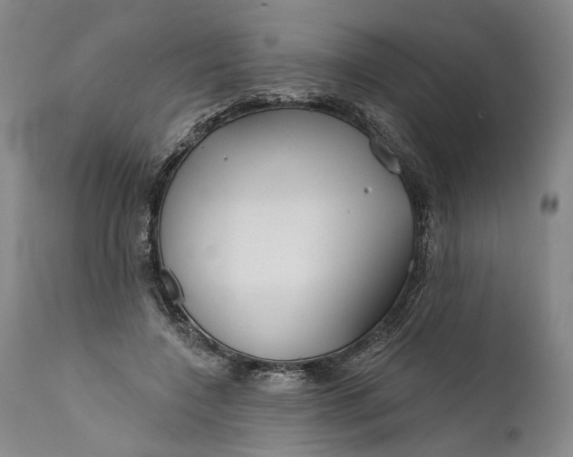 X0000111670548200908071500