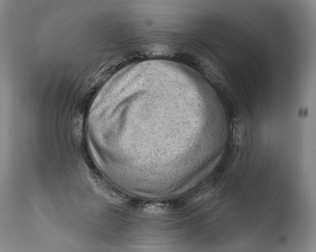 X0000111670550200908071500