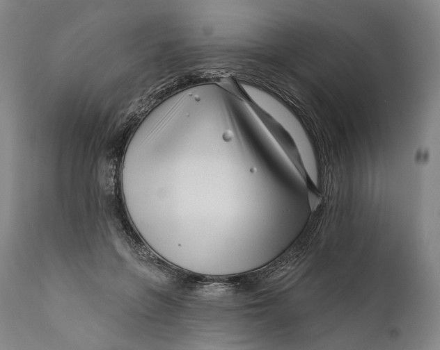 X0000111670551200908071500