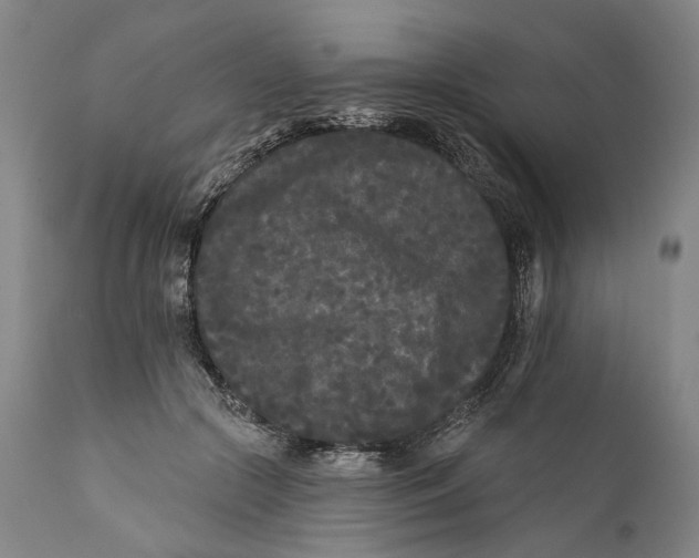 X0000111670553200908071500