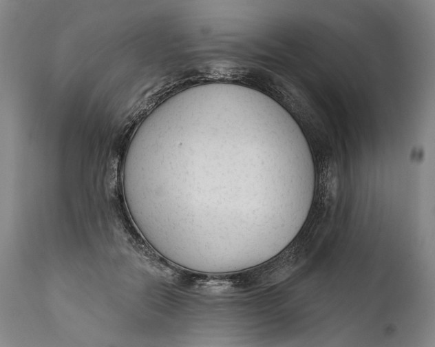 X0000111670554200908071500