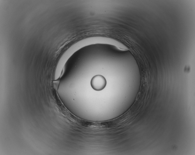 X0000111670556200908071500