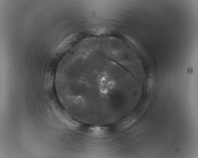 X0000111670558200908071500