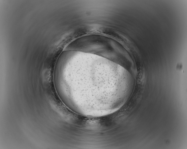 X0000111670560200908071500