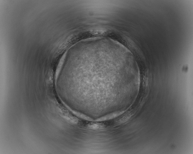 X0000111670561200908071500