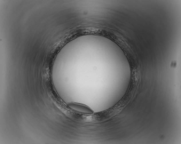 X0000111670564200908071500