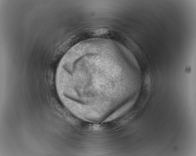 X0000111670565200908071500