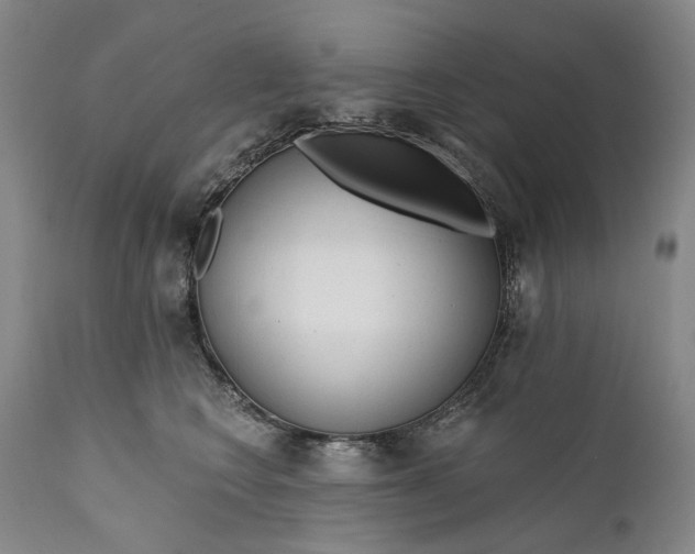 X0000111670566200908071500