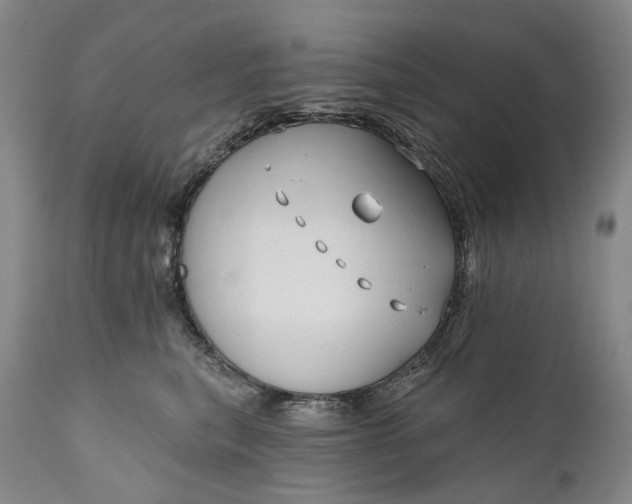 X0000111670567200908071500