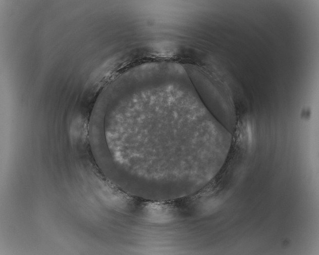 X0000111670568200908071500