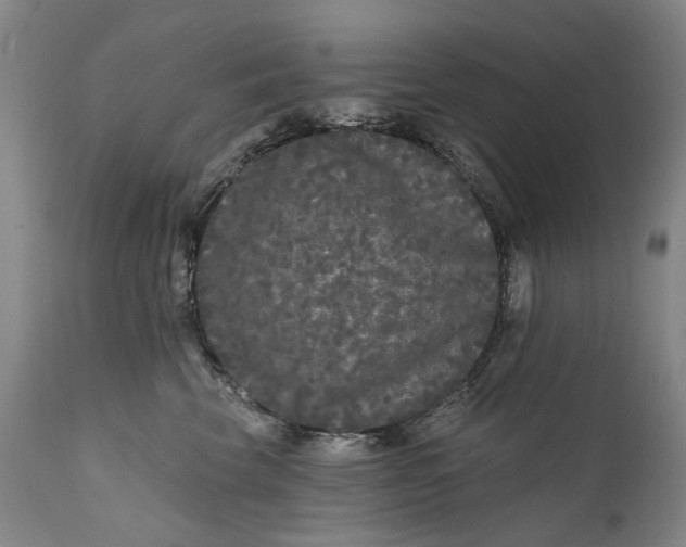 X0000111670569200908071500