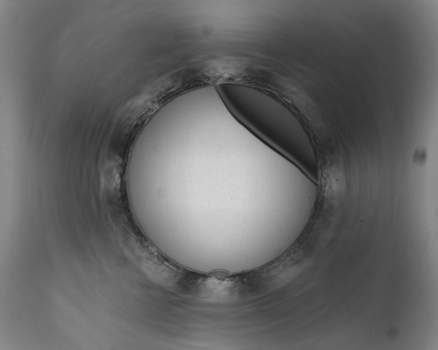 X0000111670570200908071500