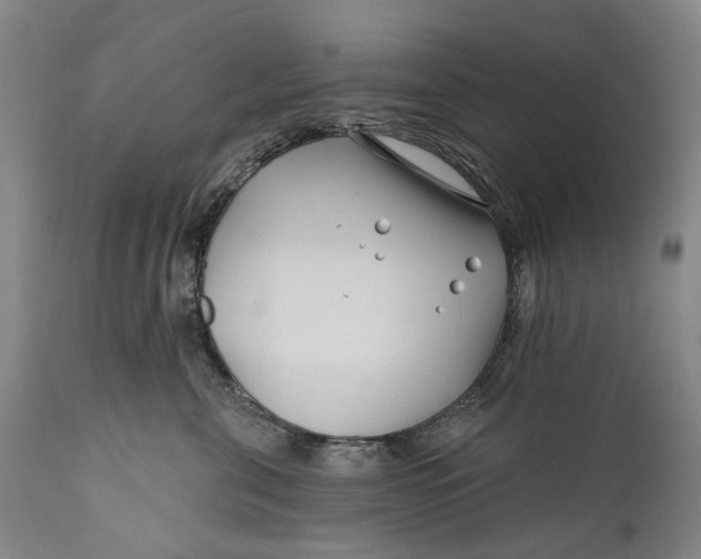 X0000111670571200908071500