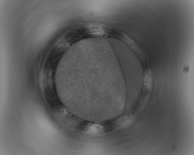 X0000111670572200908071500