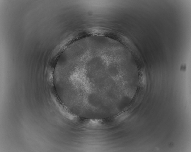 X0000111670573200908071500