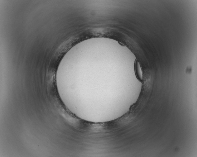 X0000111670574200908071500