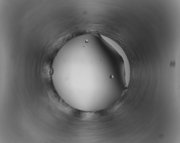 X0000111670575200908071500