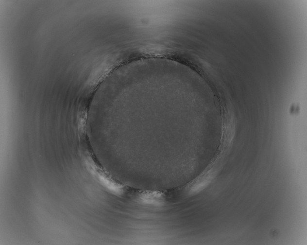 X0000111670576200908071500