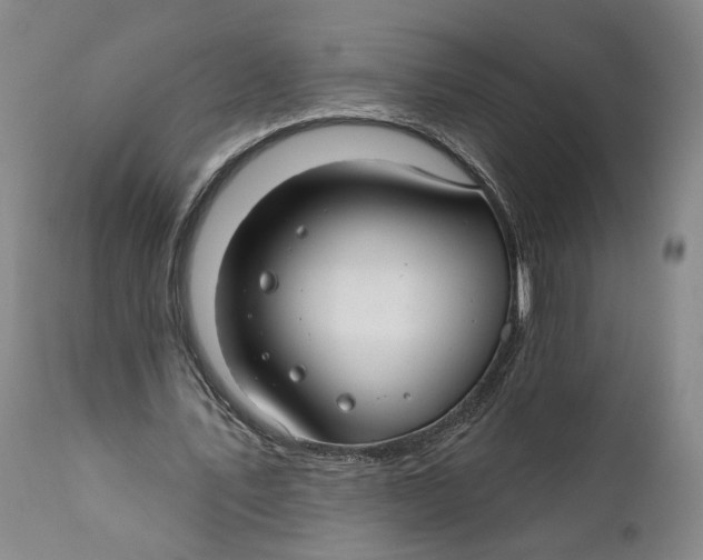 X0000111670579200908071459