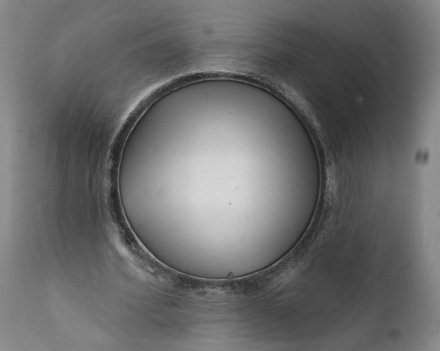 X0000111670580200908071459