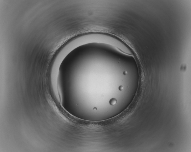 X0000111670581200908071459