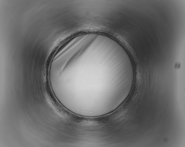 X0000111670582200908071459