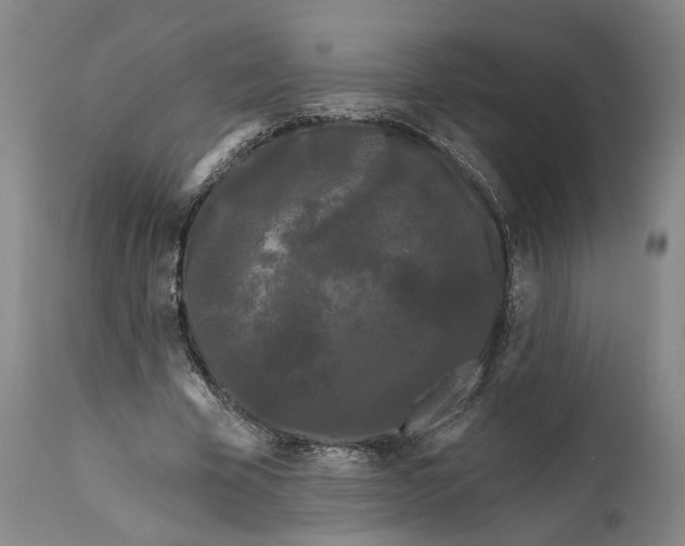 X0000111670585200908071459