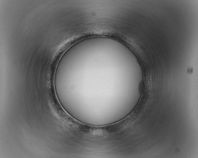 X0000111670587200908071459