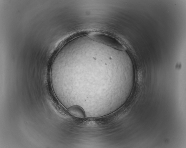 X0000111670588200908071459