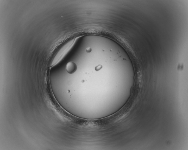 X0000111670589200908071459