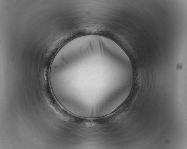 X0000111670590200908071459