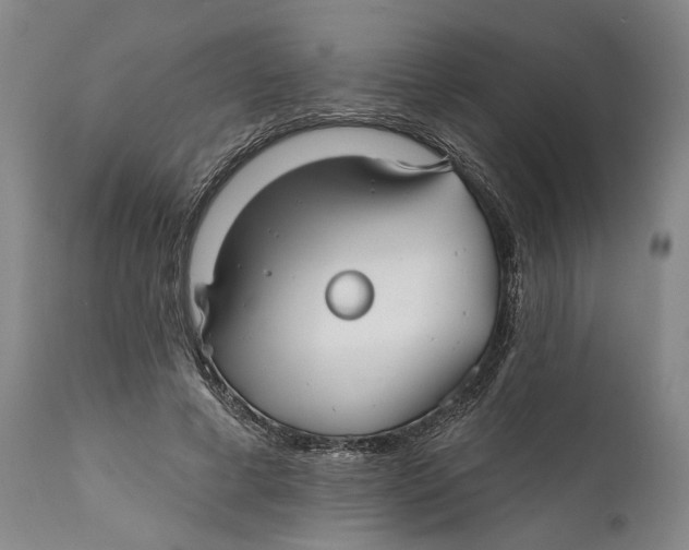 X0000111670593200908071459