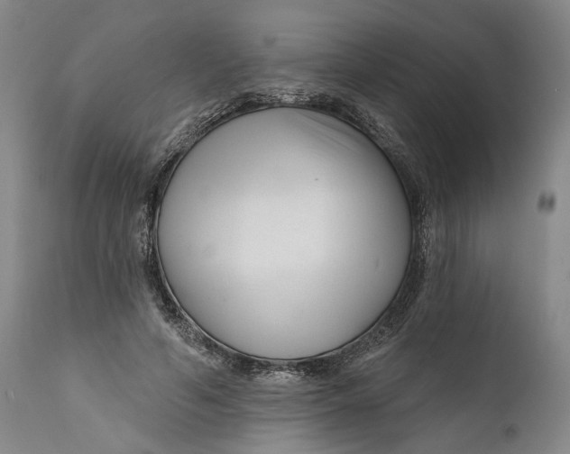 X0000111670594200908071459