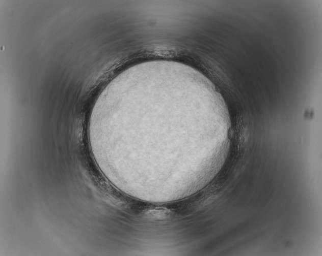 X0000111670595200908071459