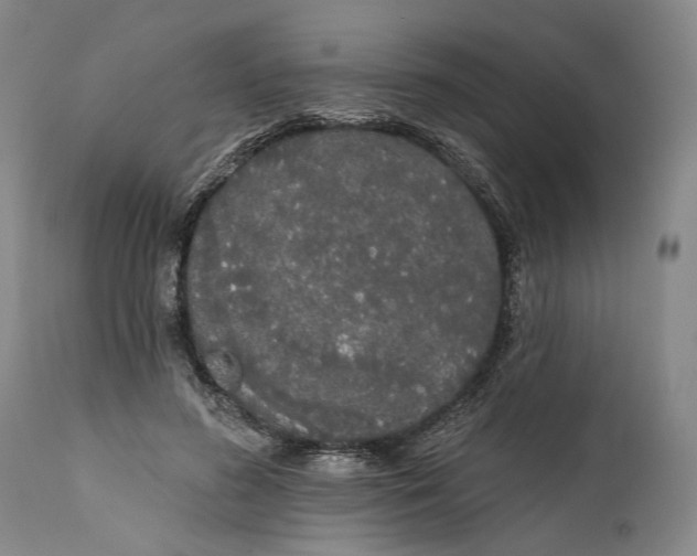 X0000111670596200908071459