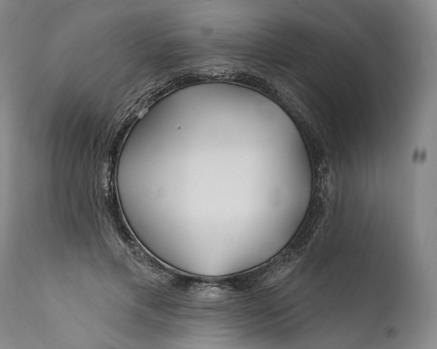 X0000111670597200908071459