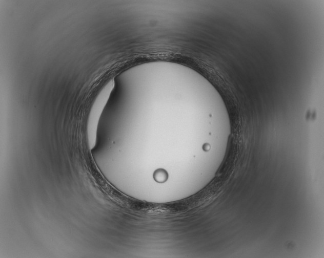 X0000111670599200908071459