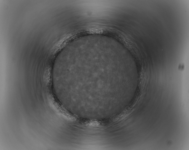 X0000111670600200908071459