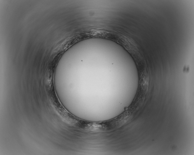 X0000111670607200908071459