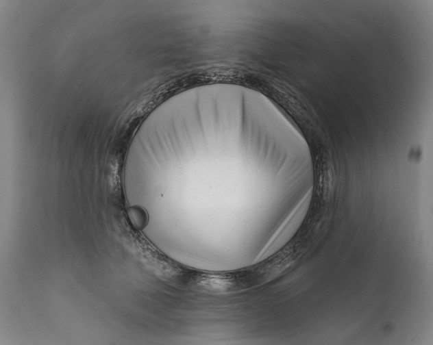 X0000111670610200908071459