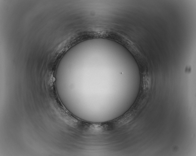 X0000111670613200908071459