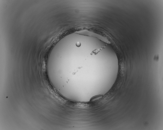 X0000111670617200908071459