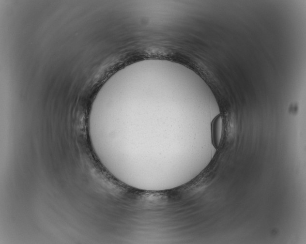 X0000111670619200908071459