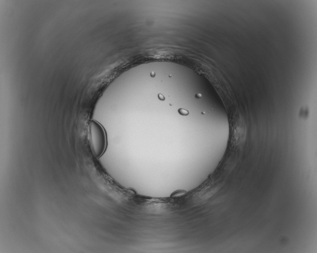 X0000111670620200908071459