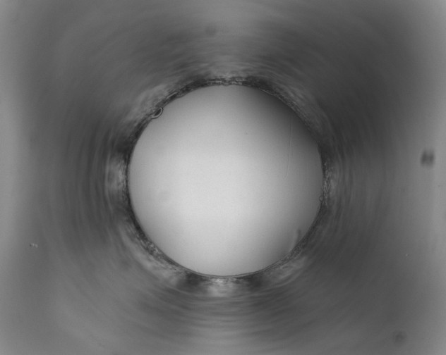 X0000111670623200908071459